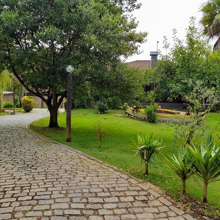 Вилла Quinta Do Bosque Вагуш Экстерьер фото